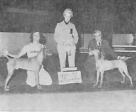 Image of Cin Cili's Yeona