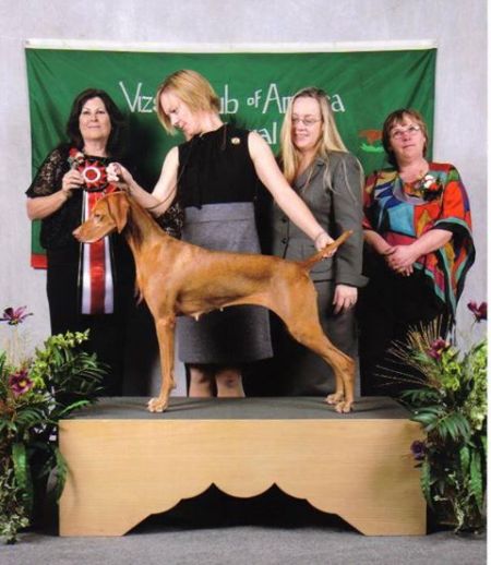 Image of Lagniappe's Chosen One / Lagniappe's Chosenone