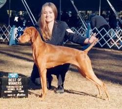 Image of Valley Hunter's Penny Lane