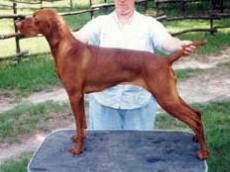 Image of Viva Backwood's First Noel