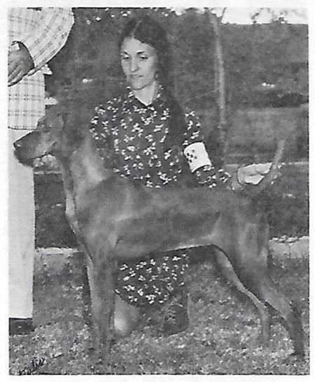 Image of Flowers' Forget-Me-Not