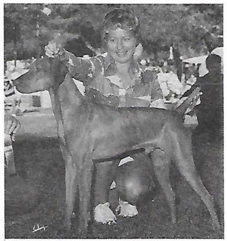 Image of Vizshaar's Adam