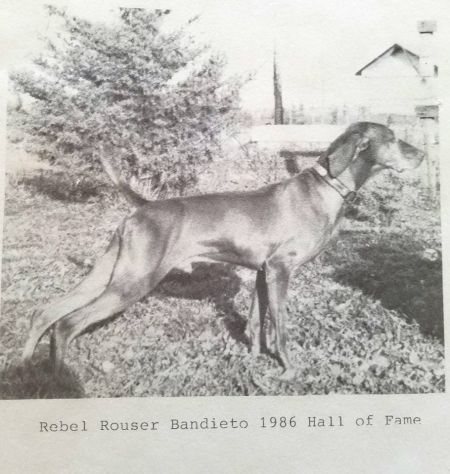 Image of Rebel Rouser Bandieto *