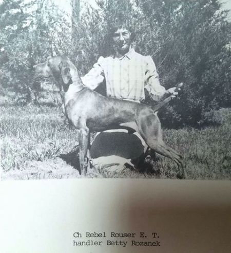 Image of Rebel Rouser E T