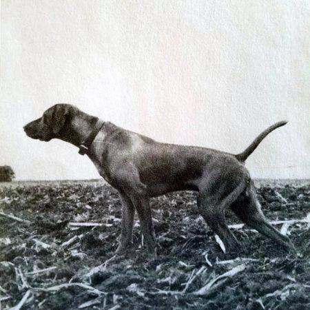 Image of Rebel Rouser E T