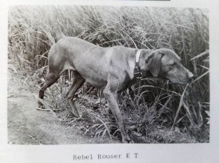 Image of Rebel Rouser E T