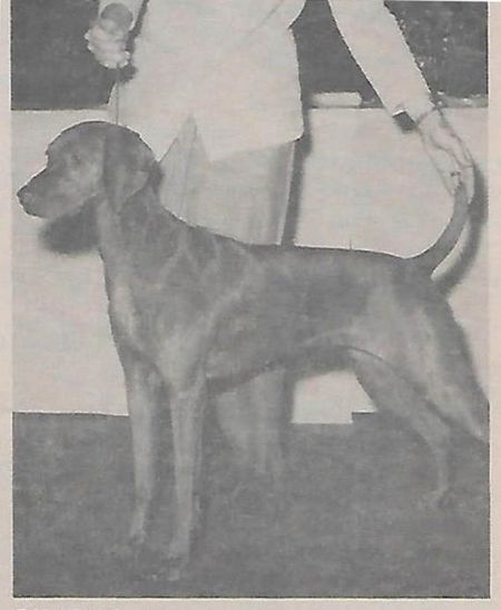 Image of Richey's Pretty Penny