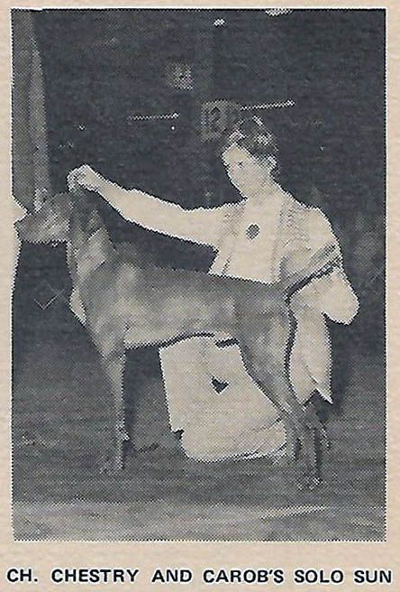 Image of Chestry and Carob's Solo Sun