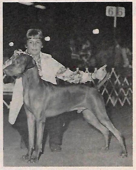 Image of Topian's Bing Bang Mykie