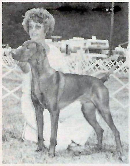 Image of Brook's Red Alert