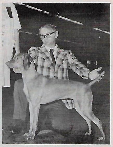 Image of Sageacre Romanze