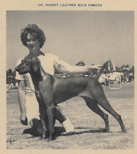 Image of Russet Leather Wild Embers
