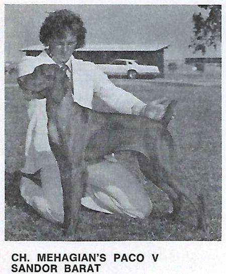 Image of Mehagian's Paco v Sandor Barat