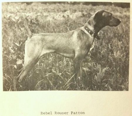 Image of Rebel Rouser Patton