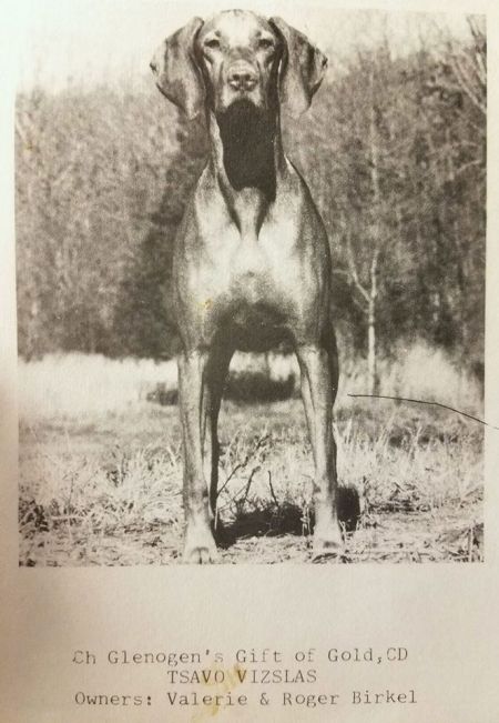 Image of Glenogen's Gift Of Gold