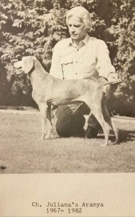 Image of Juliana's Aranya