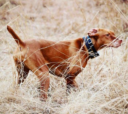 Image of Meghan Markham