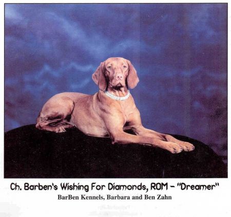 Image of Barben's Wishing For Diamonds