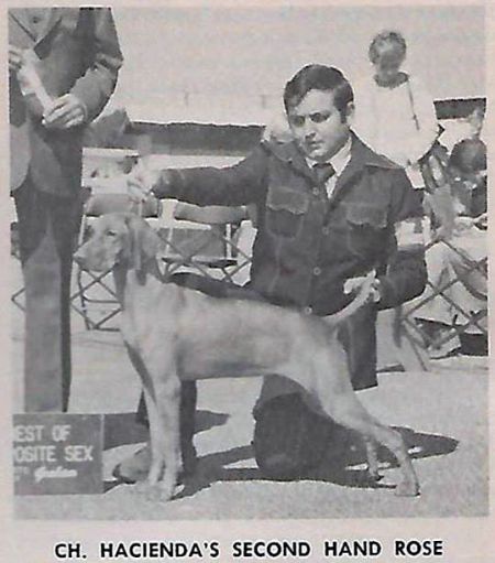 Image of Hacienda's Second Hand Rose