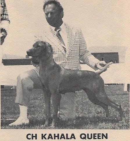 Image of Kahala Queen