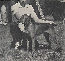 Image of Misty's Magic Moment