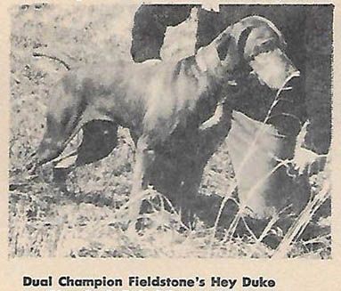 Image of Fieldstone's Hey Duke
