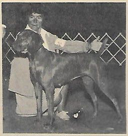 Image of Ann's Satyn Ambrosia