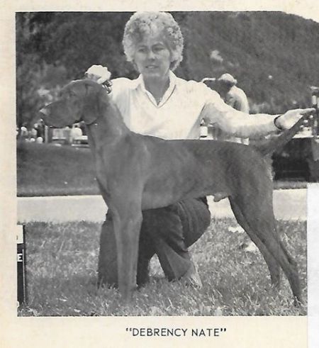 Image of Debreceny Nate