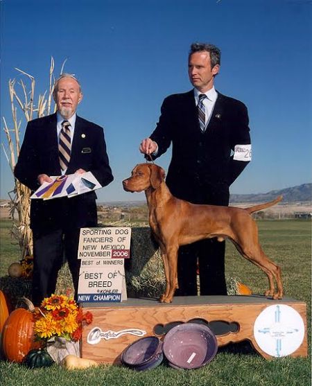 Image of Russet Leather Boulder's Wild Tok