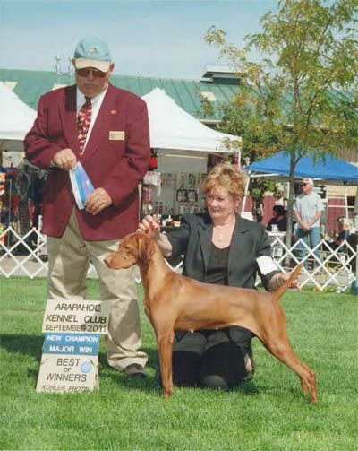 Image of Russet Leather Peyton Red