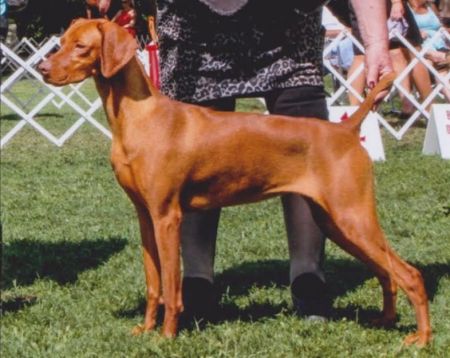 Image of Russet Leather Snow Moon