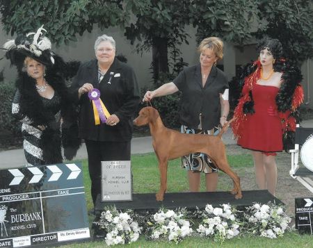 Image of Russet Leather Indian Meadows