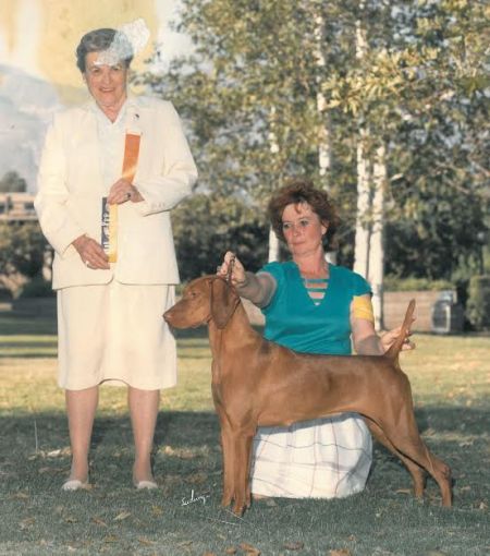 Image of Russet Leather Indian Giver