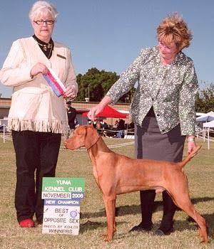 Image of Russet Leather Proud Foot