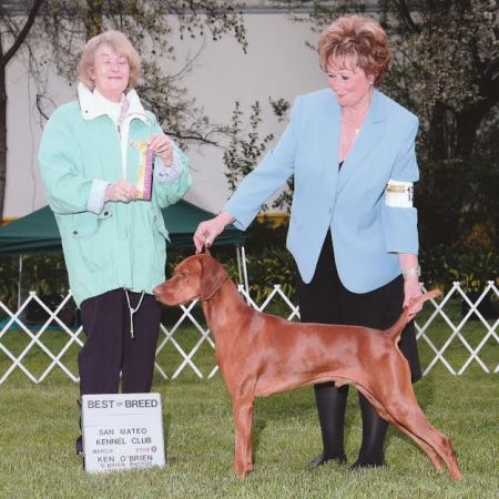 Image of Storm Winds Namaste Warrior