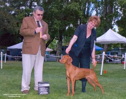 Image of Russet Leather Pale Ryder Of Tamaron