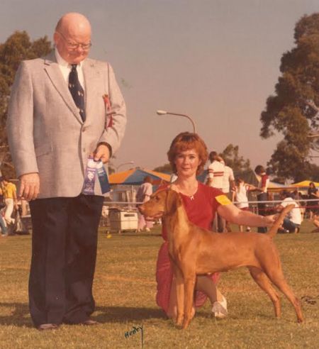 Image of Russet Leather Pretty Pawnee