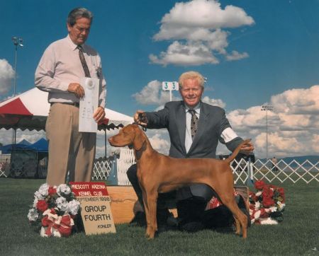 Image of Cooley's Russet Leather Elegance