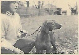 Image of Upwind Grams Brat Brandi