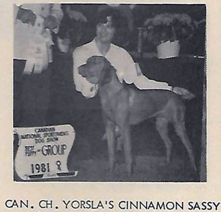 Image of Yorsla's Cinnamon Sassy