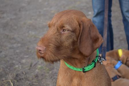 Image of Alkony von Haus Schladern