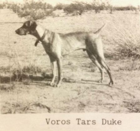 Image of Chambers Voros Tars Duke