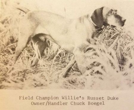Image of Willie's Russet Duke