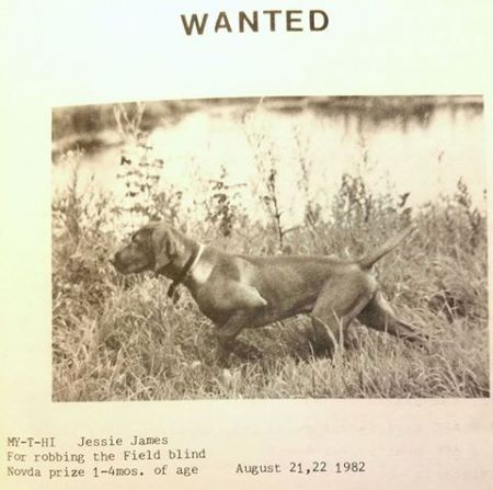 Image of My-T-Hi Jessie James