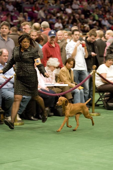 Image of Kezdet's Warrior Whisper