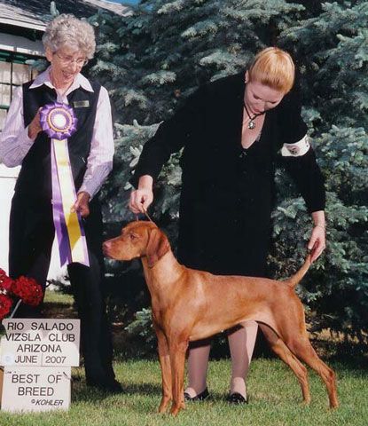 Image of Tamaron Emerald Reign