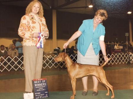 Image of Russet Leather Talutah