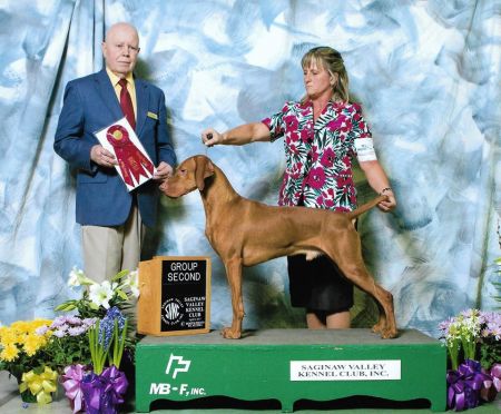 Image of Stardust N Stonepointes Legendary Journey