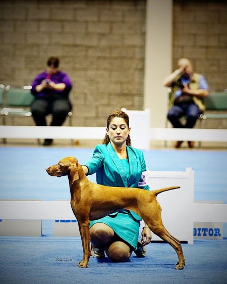 Image of Aldebaran's Hear Me Ruairi