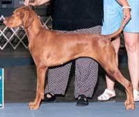 Image of Vally Huntr Westminster Abby